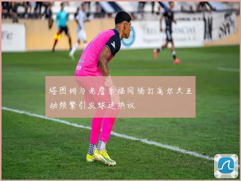 塔图姆与老詹乐福同场打高尔夫互动频繁引发球迷热议